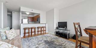 474 North Lake Shore Dr. Gallery 6