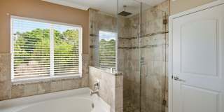 Gorgeous 4-Bedroom Single-Family Home with Pool in Summerfield Gallery 20