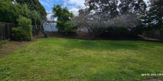 Orcutt Single Story Recently Updated Home with Large Yard Gallery 49