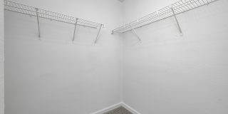 Deer Chase Gallery 27