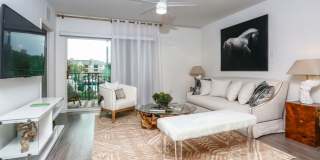 Oasis at Shingle Creek Gallery 5
