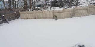 Charming Roslindale 2 Bd 1 Bath w Garage and Green Space Gallery 18