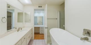 37 Cottonwood Gallery 9