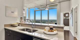 Allure Hermann Park Gallery 71