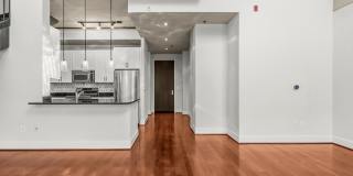 520 JOHN CARLYLE Street Gallery 17