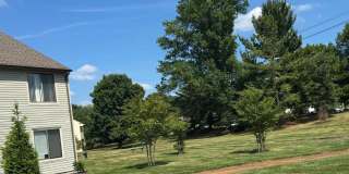 1502 THE WOODS Gallery 5