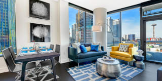 Windsor Cirrus Gallery 20
