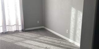 7020 Albatross Attic Street Gallery 37