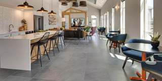 Cypress Gallery 20