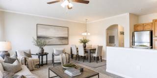The Charleston Gallery 15