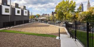 The Collins The Collins Gallery 38