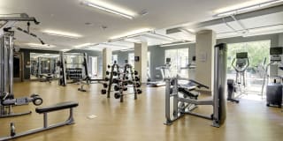 The Winthrop Gallery 8