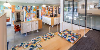 The Frankie Gallery 18