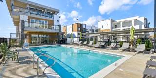 Verdell Pointe Gallery 55