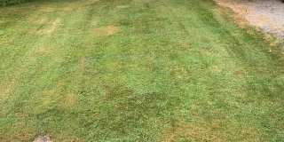 207 N LINDEN AVE. Gallery 13