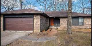 128 Ricky Raccoon Gallery 1
