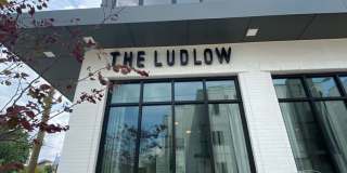 Ludlow Studio in Historic Buena Vista! Gallery 3