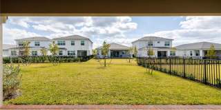 13939 Prickly Cone Cv Gallery 29