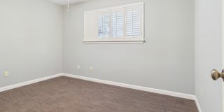 4409 Twisted Tree Dr Gallery 19