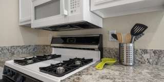 8216 Diamond Star Court Gallery 13