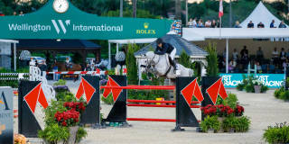 900 Cosmos Court Gallery 46