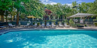 Treehouse Apartments Gallery 37