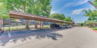 Timberglen Gallery 18