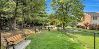 Linden At Elmtree Gallery 11