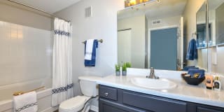 The Palmer The Palmer Gallery 7