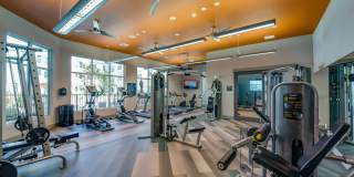 Bellrock Upper North Gallery 5