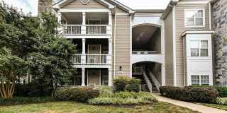1716 LAKE SHORE CREST Drive Gallery 1