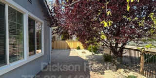 6634 Magical Drive Gallery 21