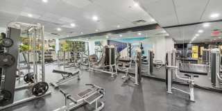 Arrive North Bethesda Gallery 18