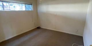 Pinehaven Gallery 12
