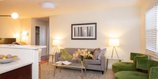 Livingston Gardens Gallery 47