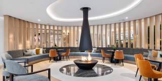 The Ivy Gallery 15