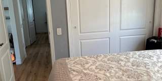 3267 AMACA CIRCLE Gallery 29