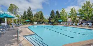 Bell Rohnert Park Gallery 1