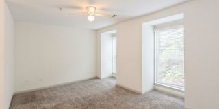 ReNew Druid Hills Gallery 14