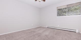 Pebble Creek Gallery 8