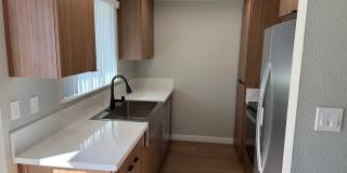 The Pines Apartments Gallery 19