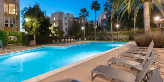 Domicilio Gallery 13