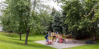 Whimsical Pig Gallery 18