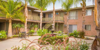 6736 Cleon Ave Gallery 24