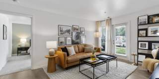 TGM Bull Run Gallery 12