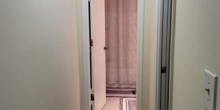 Live the Bayshore Boulevard / Soho Lifestyle, in Style! Gallery 15