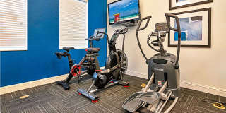 Blu Atlantic Gallery 26