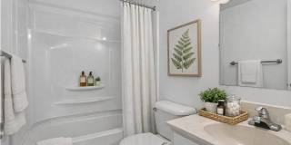 Christopher Crossing Gallery 8