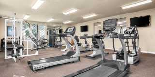 Chevy Chase Apartments Gallery 18