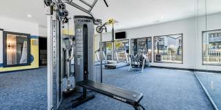 The Jaxon Gallery 13